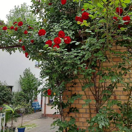 Fewo Rosenbluete Am Stadtpark Wittenberg Dış mekan fotoğraf