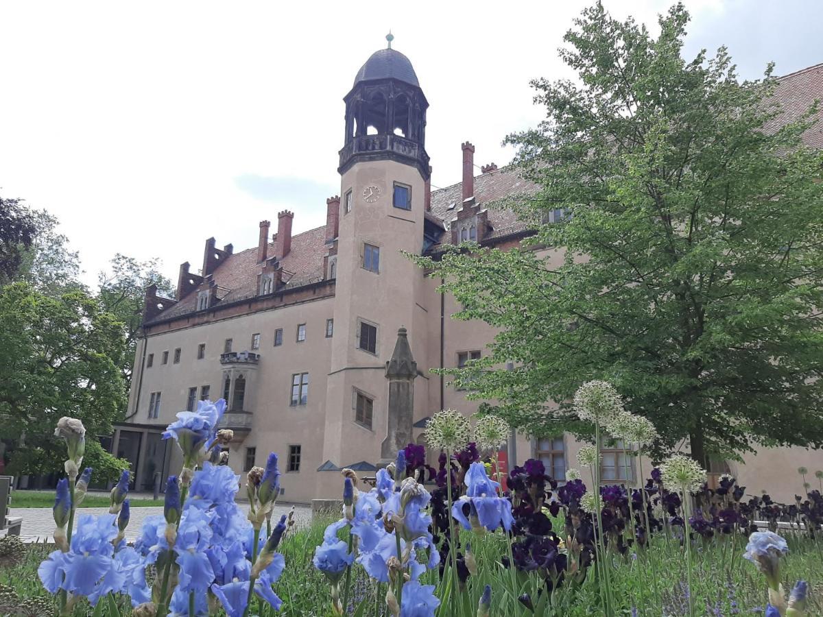 Fewo Rosenbluete Am Stadtpark Wittenberg Dış mekan fotoğraf