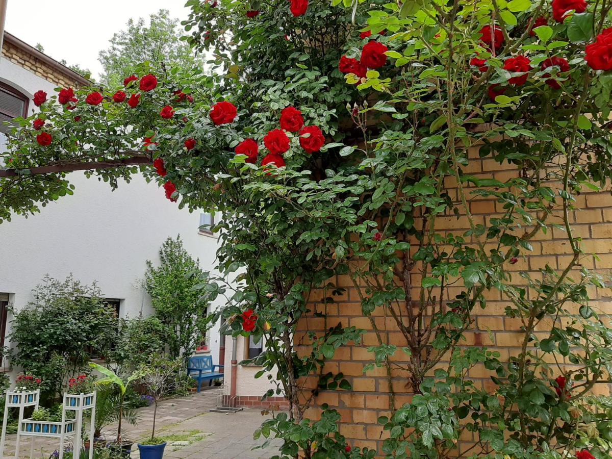Fewo Rosenbluete Am Stadtpark Wittenberg Dış mekan fotoğraf