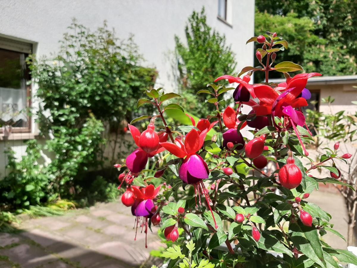 Fewo Rosenbluete Am Stadtpark Wittenberg Dış mekan fotoğraf